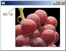 captura de tela de uma janela que contém uma imagem, com um texto explicativo para o ponto de origem 