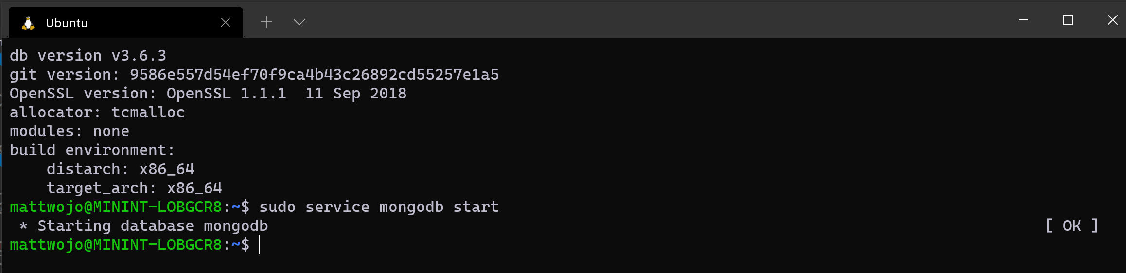 Executando o MongoDB no Ubuntu via WSL