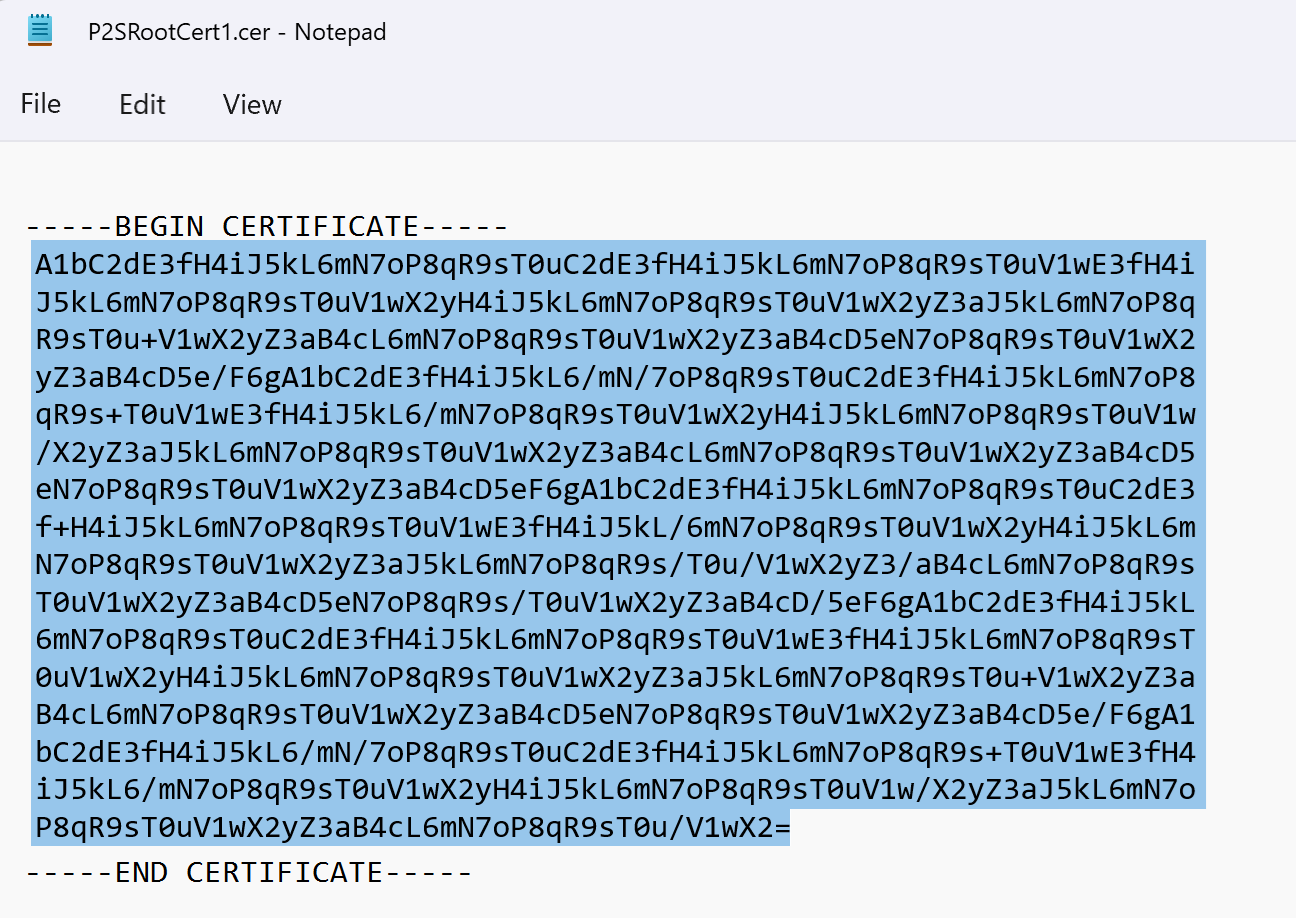 A captura de tela mostra o arquivo CER aberto no Bloco de Notas com os dados do certificado realçados.