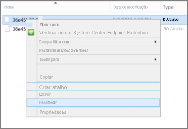 A captura de tela mostra como renomear o certificado raiz.