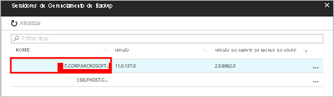 A captura de tela mostra os detalhes do servidor.