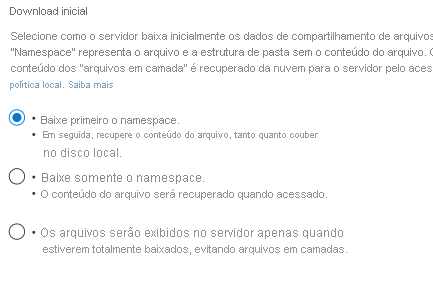 Captura de ecrã que mostra as opções iniciais de download no assistente Criar endpoint de servidor.