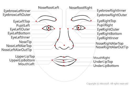 Um diagrama facial com todos os 27 pontos de referência marcados