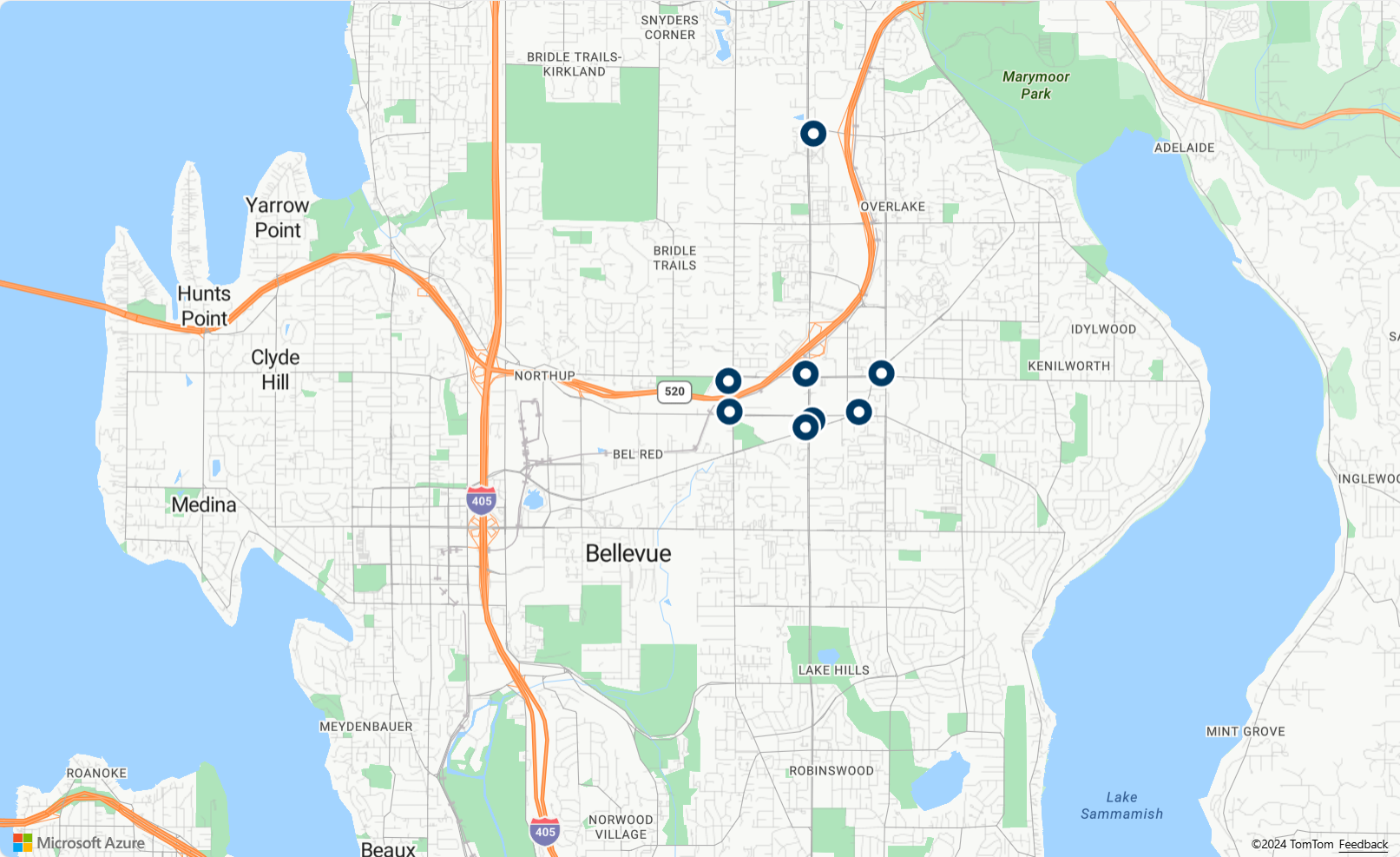 Uma captura de tela mostrando o mapa resultante da pesquisa, que é um mapa mostrando Seattle com pinos azuis redondos em locais de postos de gasolina.