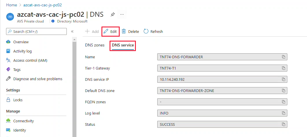 Screenshot showing the DNS service tab with the Edit button selected.