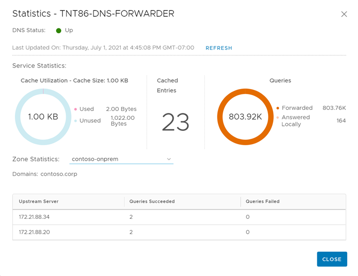 Screenshot showing the DNS Forwarder statistics.