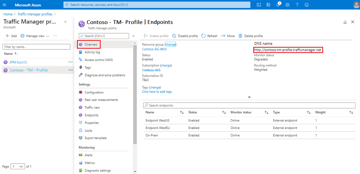 Captura de tela mostrando uma visão geral do ponto de extremidade do Gerenciador de Tráfego com o nome DNS realçado.
