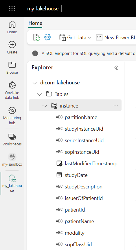 Captura de ecrã que mostra as colunas da tabela listadas na vista do Explorer.