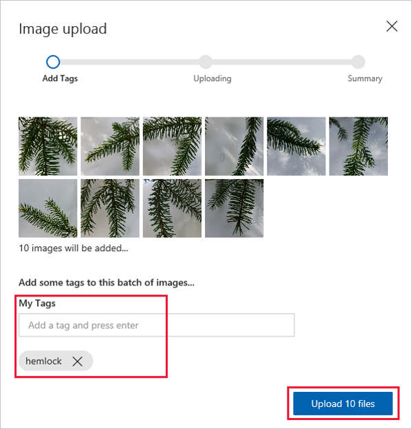 Carregue arquivos com tags de cicuta para Visão Personalizada