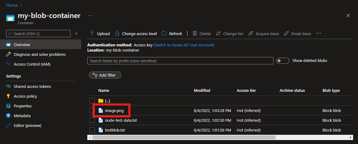Captura de ecrã a mostrar a visualização do ficheiro carregado no portal do Azure.