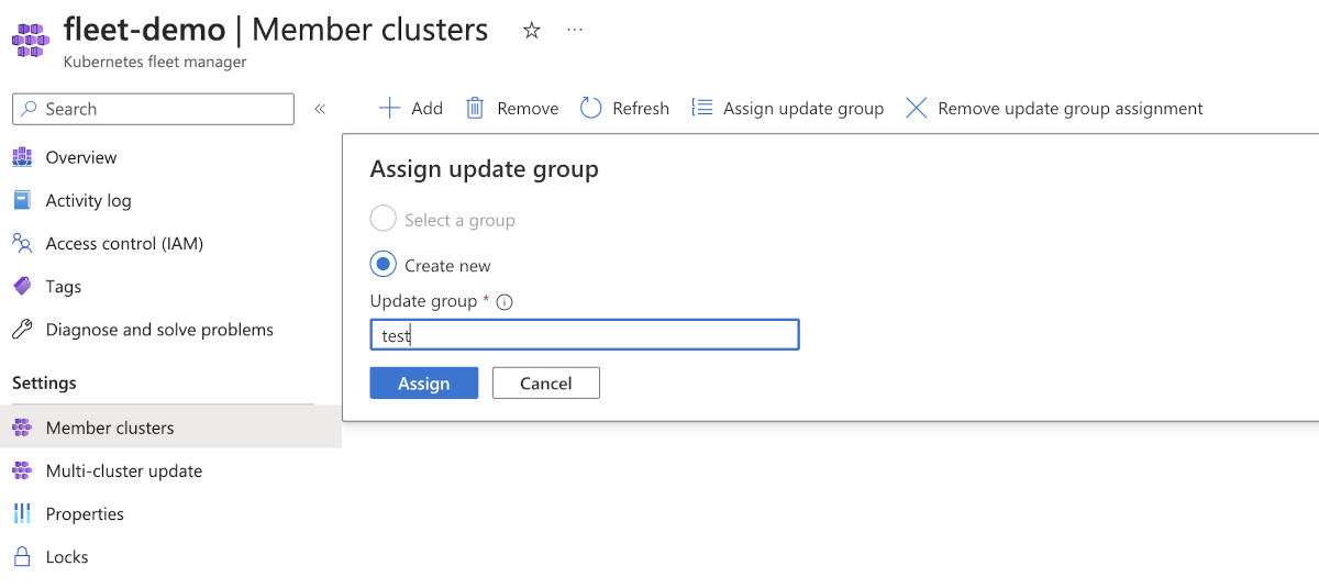 Captura de ecrã da página do portal do Azure para clusters de membros que mostra o formulário para atualizar o grupo de um cluster de membros.