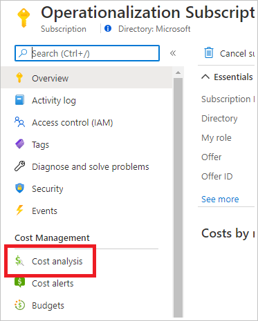 Managed online endpoint cost analysis: screenshot of a subscription in the Azure portal showing red box around 