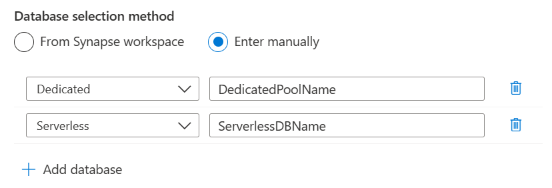 Captura de tela da seleção para inserir nomes de banco de dados manualmente ao configurar uma verificação.