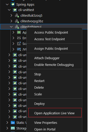 Captura de tela da extensão VS Code que mostra a opção Open Application Live View para um aplicativo.