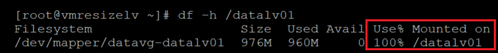Captura de ecrã a mostrar o código que verifica o tamanho do sistema de ficheiros. O resultado está realçado.