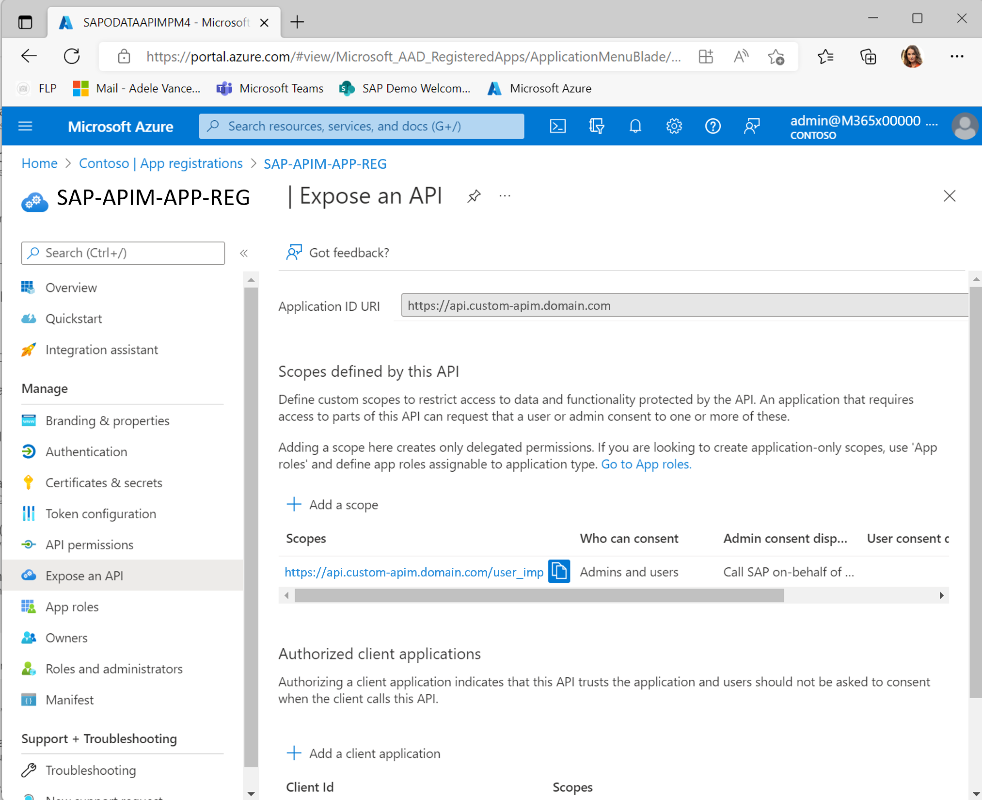 Screenshot that shows the app registration for Azure API Management in Microsoft Entra ID.