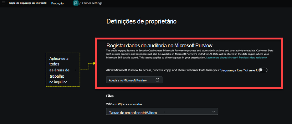 Imagem da página de definições do proprietário com dados de auditoria de registo realçados.