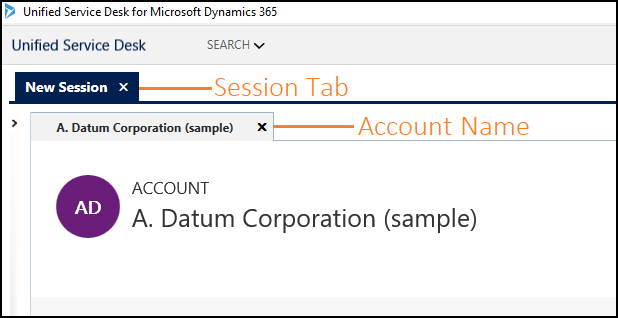 Account record displayed in a session Account record displayed in a session.