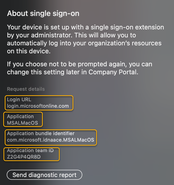 Captura de tela mostrando mais detalhes de informações sobre a extensão SSO na tela SSO de prompt.