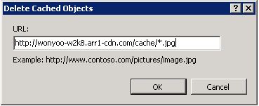 Captura de tela que mostra um U R L com um padrão wildchar na caixa de diálogo Excluir objetos em cache.