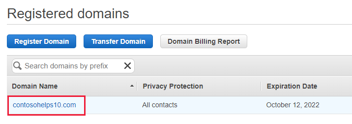 Captura de ecrã de Domínios Registados onde seleciona o Nome de Domínio para o registo TXT de verificação de domínio.