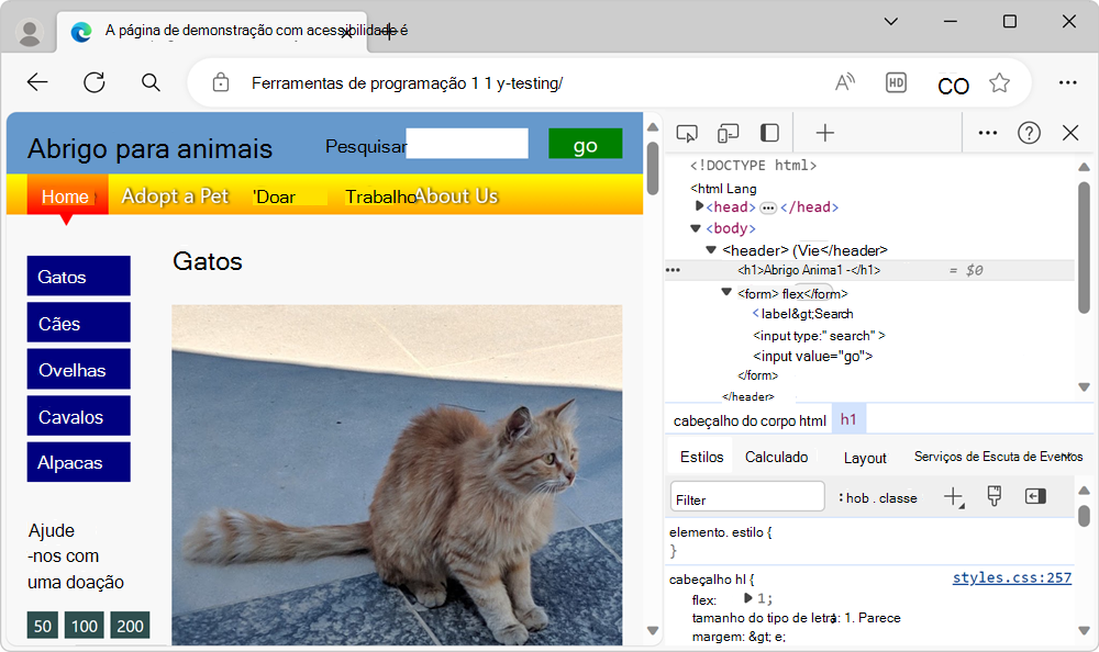 A página de demonstração com DevTools junto à mesma