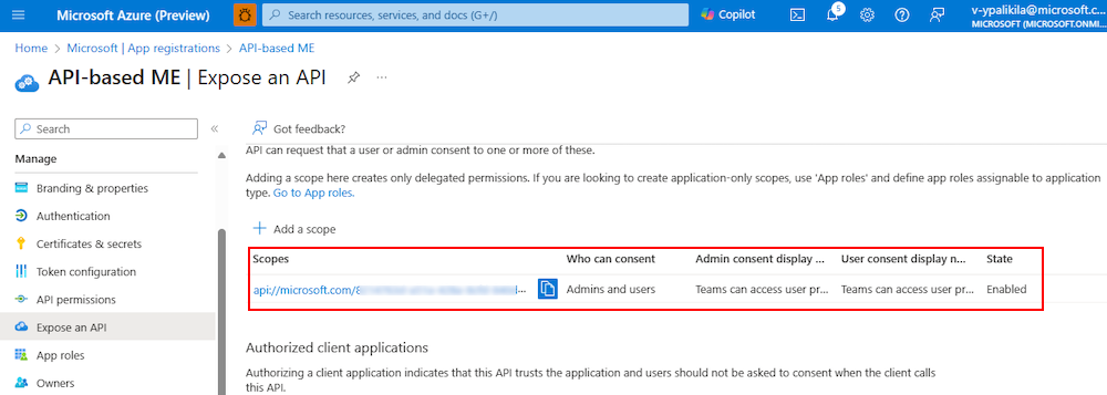 A captura de tela mostra um exemplo do escopo adicionado ao aplicativo no portal do Azure.