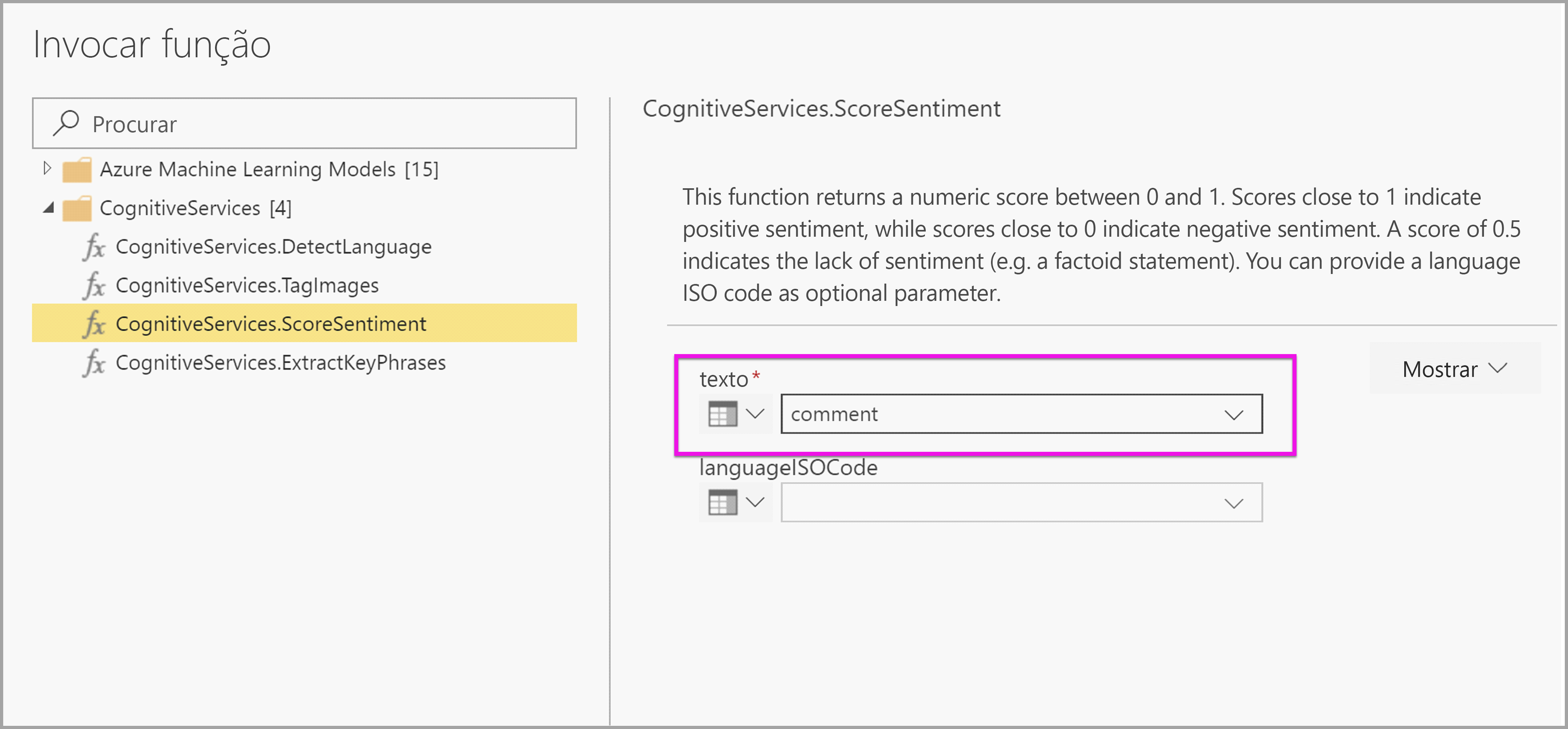 Screenshot shows the Invoke function dialog box with the text drop-down menu.