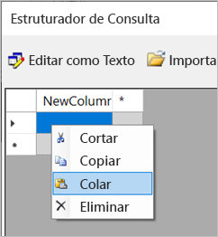 Screenshot of the Paste option in the Query Designer.