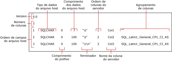 arquivo de formato não XML padrão para myTestSkipCol