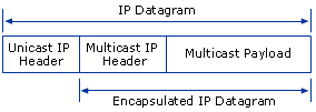 Estrutura de datagrama IP-in-IP