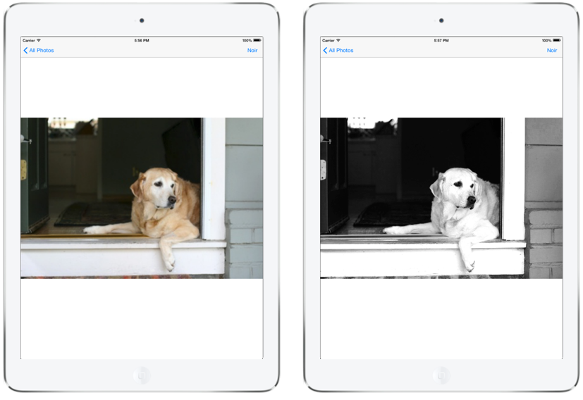 Dois exemplos, mostrando a foto antes e depois que o filtro é aplicado