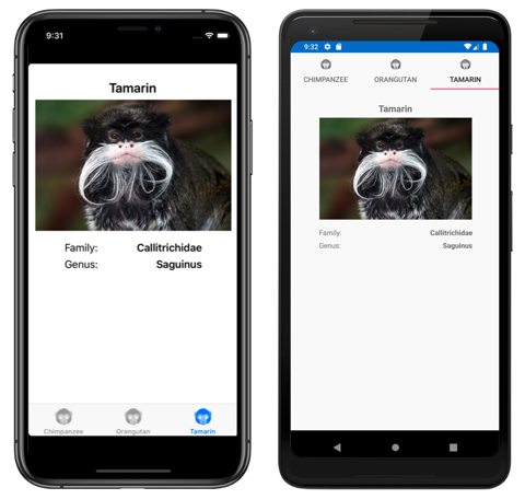 Templated TabbedPage Captura de tela de um modelo de TabbedPage, no iOS e Android