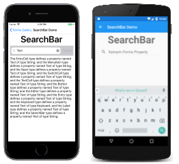 Exemplo de SearchBar