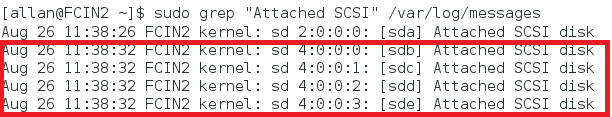 Captura de tela do comando grep e da resposta para o comando mostrando os discos SCSI anexados.