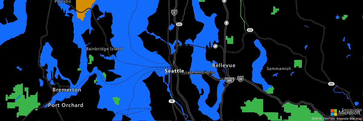 Image of a high-contrast map of Seattle.