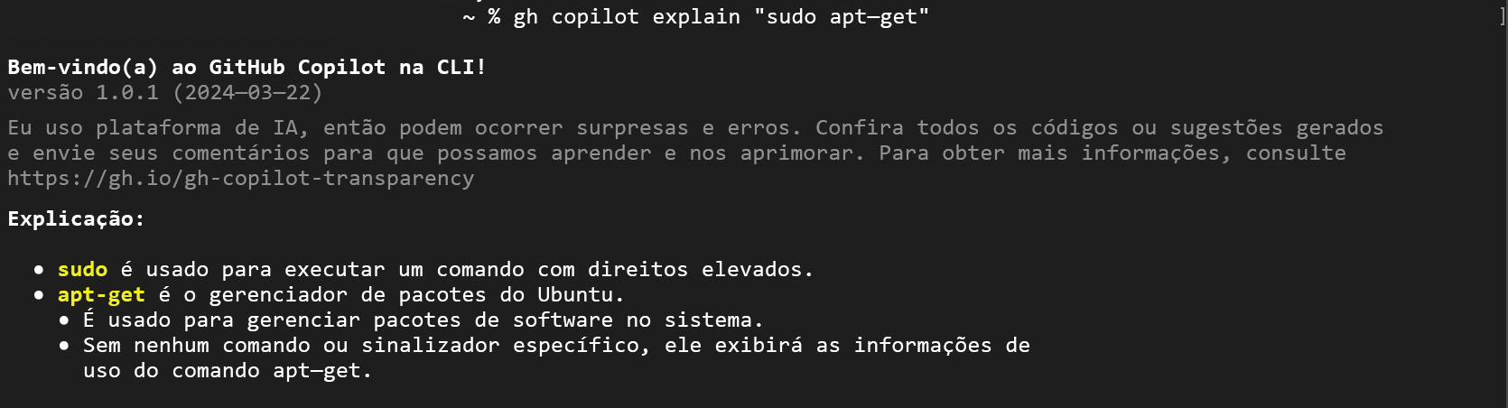 Captura de ecrã da CLI do Copilot a explicar um comando em modo interativo.