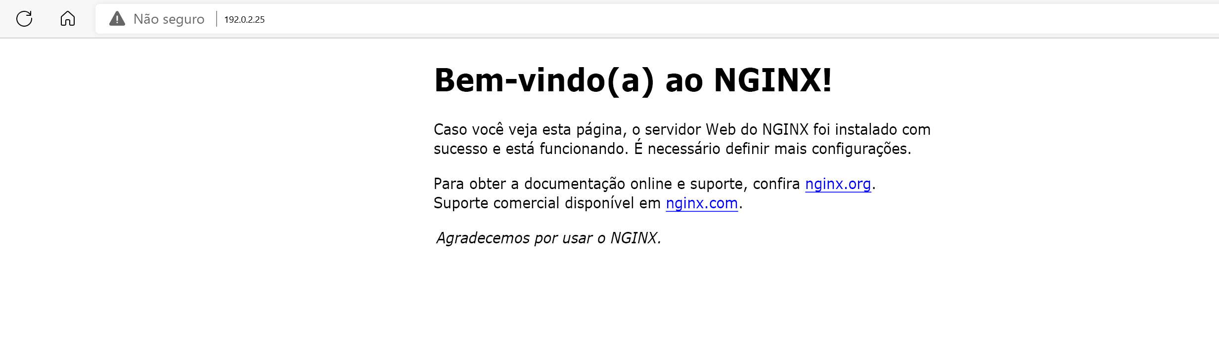 sCaptura de tela mostrando que o pod foi implantado com êxito no navegador da Web.