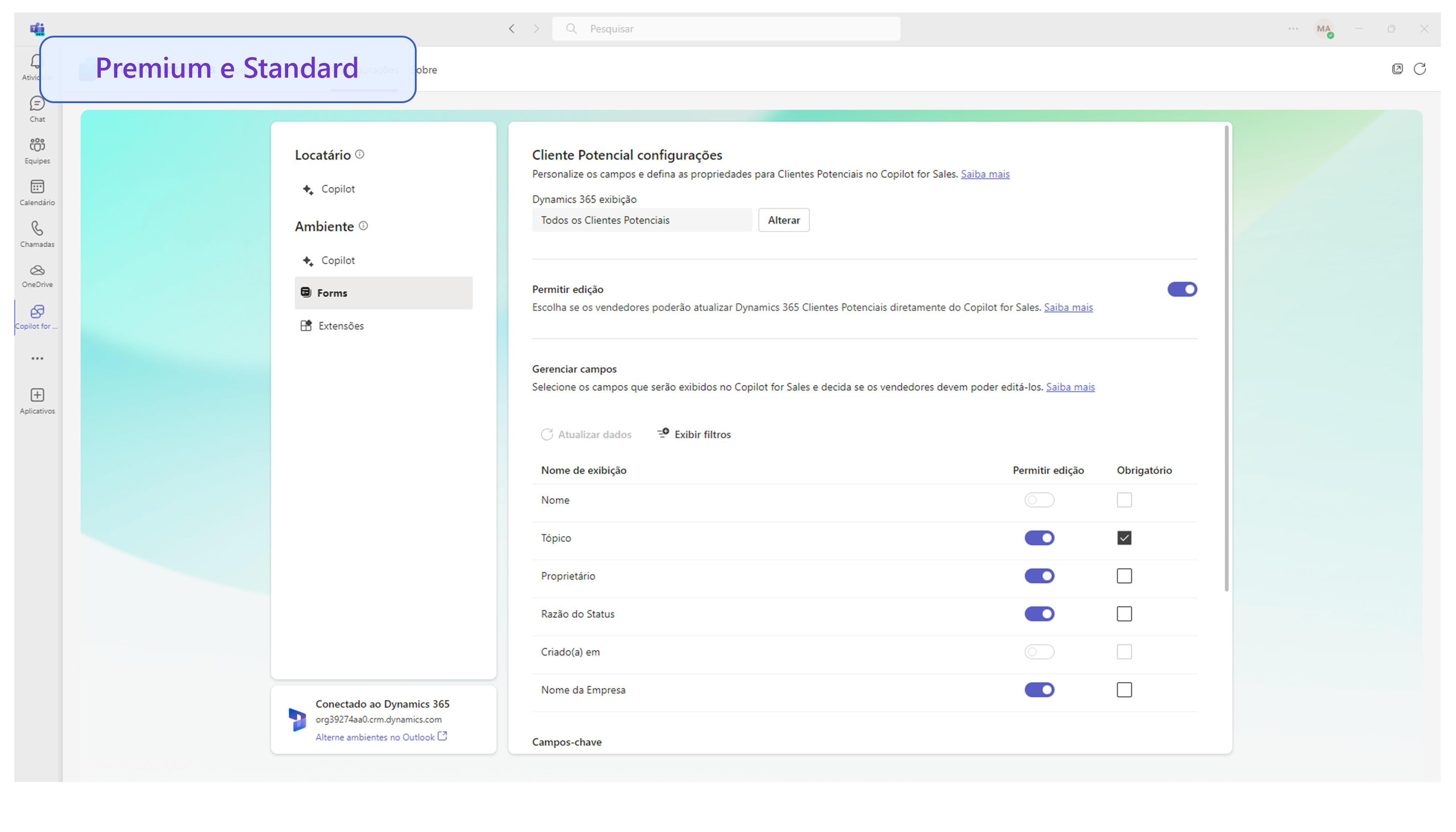 Captura de tela dos detalhes de Personalizar formulários e campos.