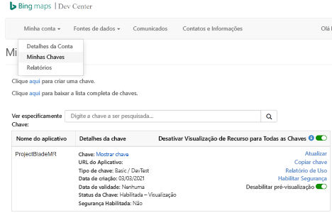 Captura de ecrã do portal do centro de desenvolvimento do Bing Maps com a página das minhas chaves selecionada a mostrar os detalhes da chave do programador.