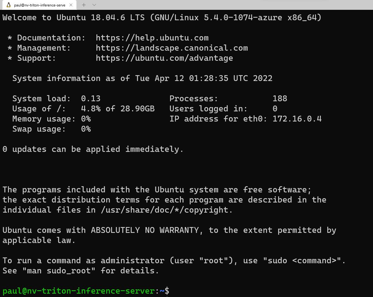 Uma captura de tela mostrando um logon bem-sucedido na máquina virtual.