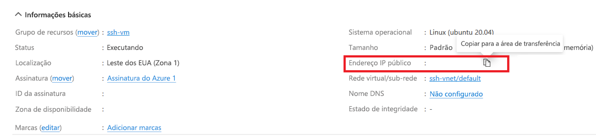 Captura de tela destacando como copiar o endereço IP público da VM recém-criada.