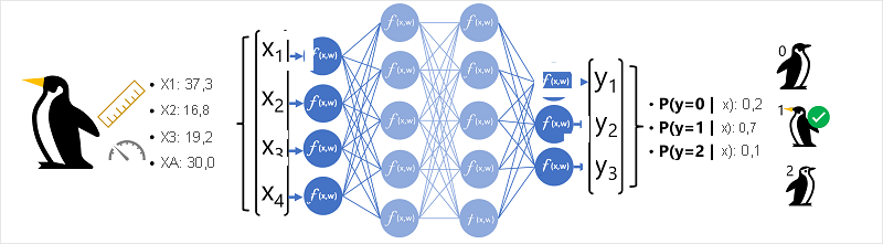 Diagrama de uma rede neural usada para classificar uma espécie de pinguim.