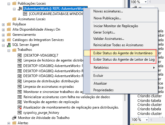 Screenshot showing how to launch the snapshot agent.