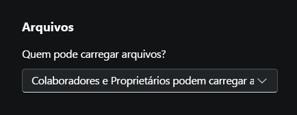 Captura de tela mostrando as configurações do proprietário, especificamente focada na opção de upload de arquivo.