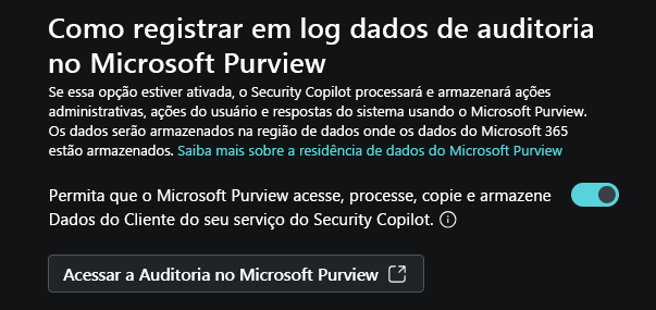 Captura de tela mostrando as configurações do proprietário, especificamente focadas na opção de registro de auditoria.