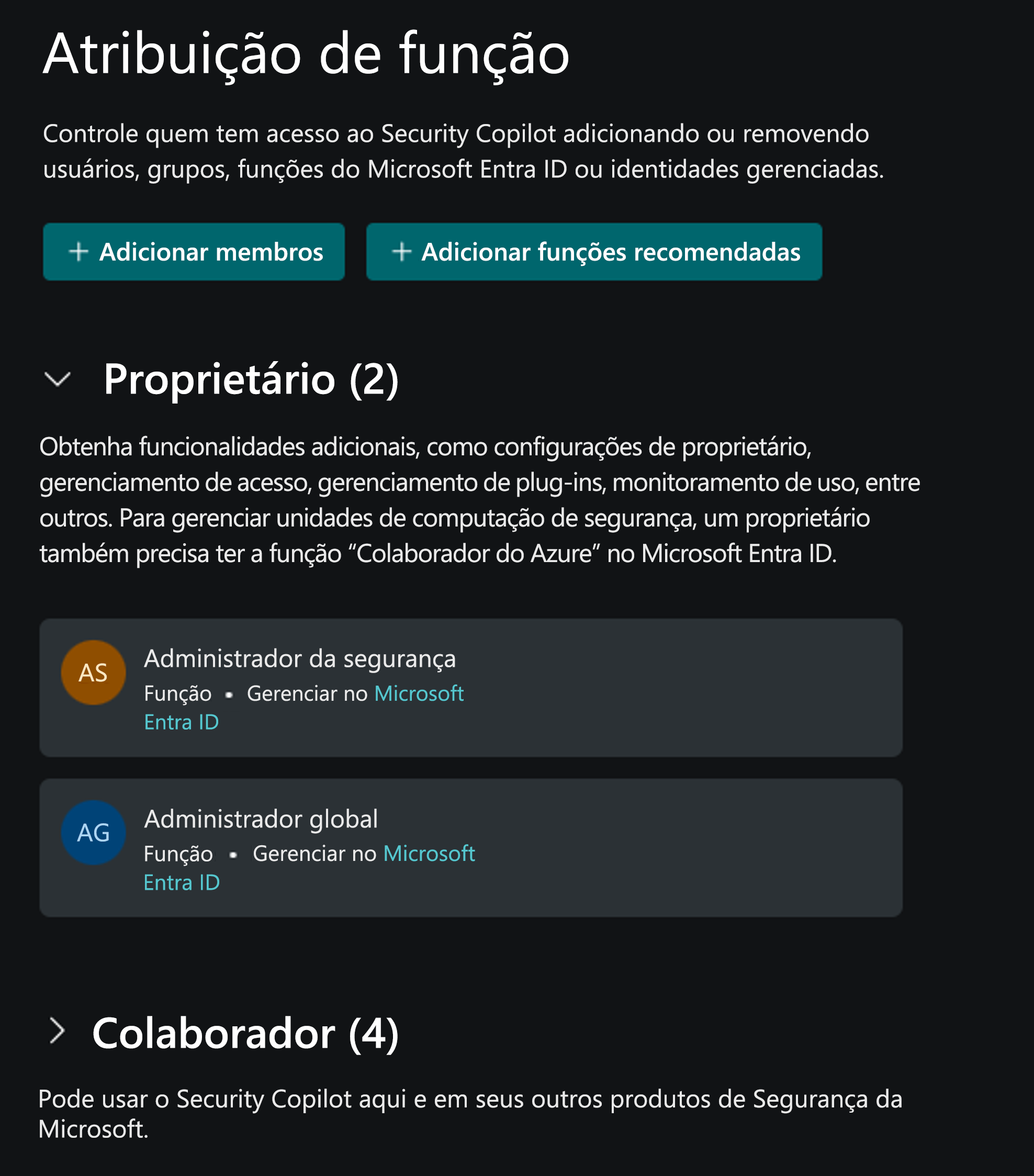 Captura de tela mostrando a página de atribuição de função.