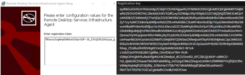 Captura de tela do token de registro colado