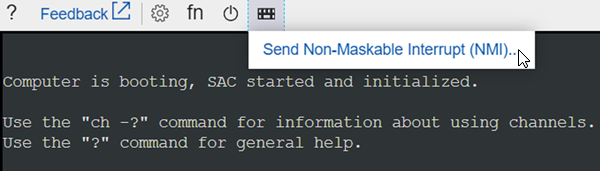 Captura de tela do item Send Non-Maskable Interrupt.