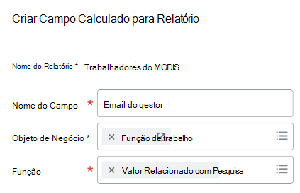 Uma captura de tela mostra os detalhes do campo calculado. 